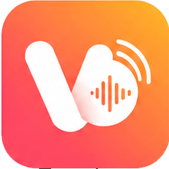 Voxly